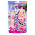 Barbie Snowboarder Accessories and Doll