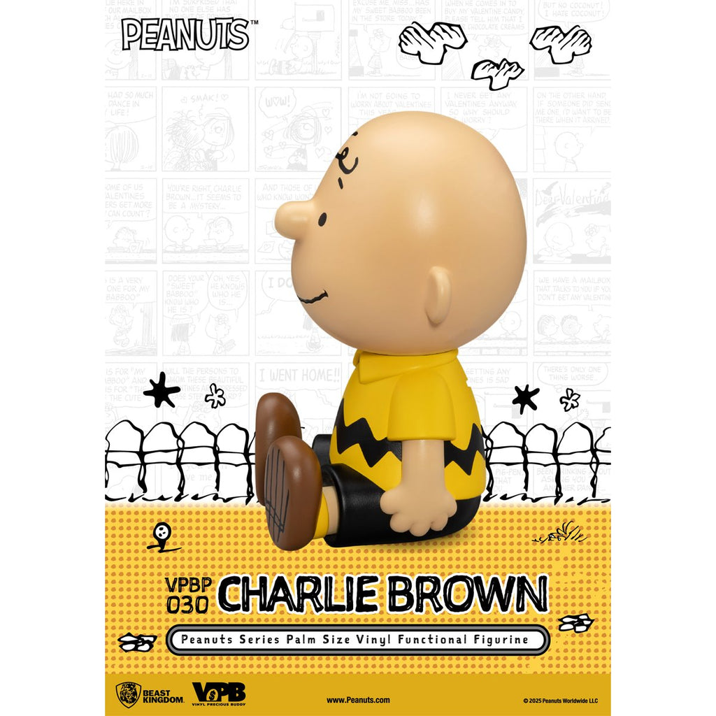 Peanuts Charlie Brown VPBP-030 Peanuts Series Palm Size Vinyl Functional Piggy Bank