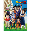 Dragon Ball Z Group Sublimation Throw Blanket