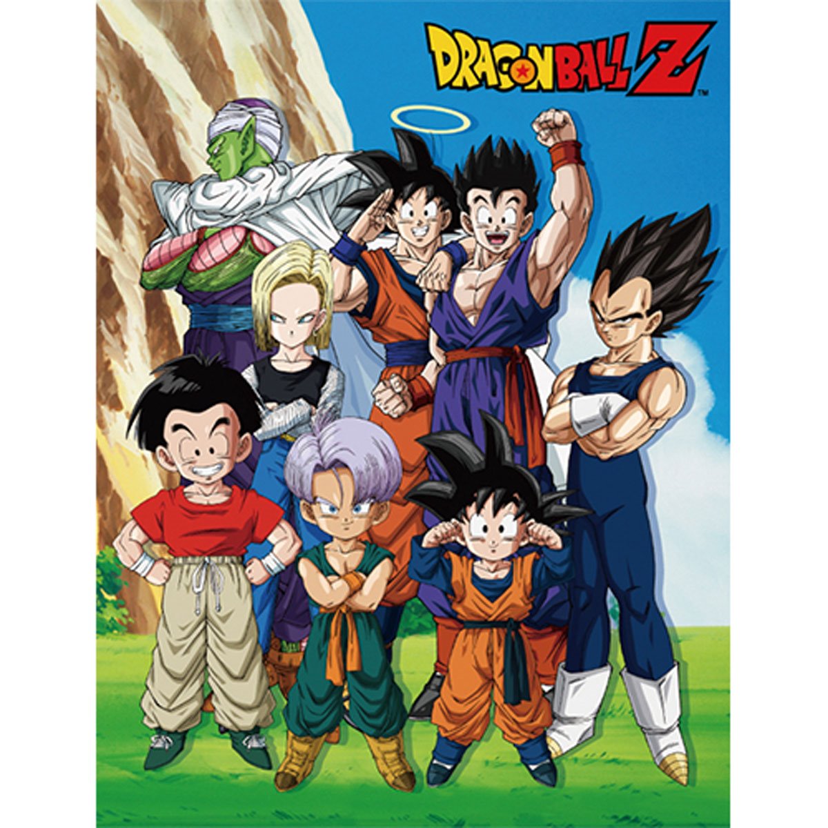Dragon Ball Z Group Sublimation Throw Blanket