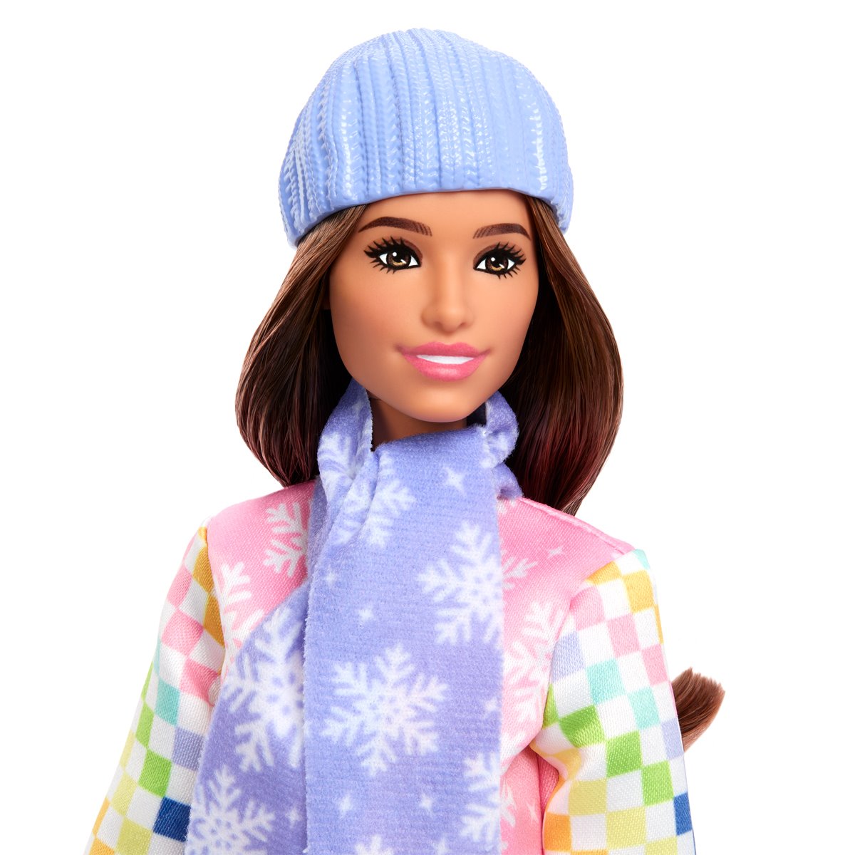 Barbie Snowboarder Accessories and Doll
