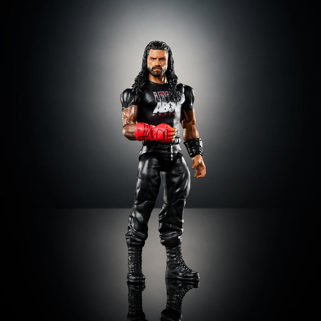 WWE Action Figure and Roleplay Case of 3