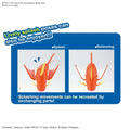 Pokemon Magikarp Big Model Kit