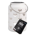 Mickey Mouse Solar Projection Lantern