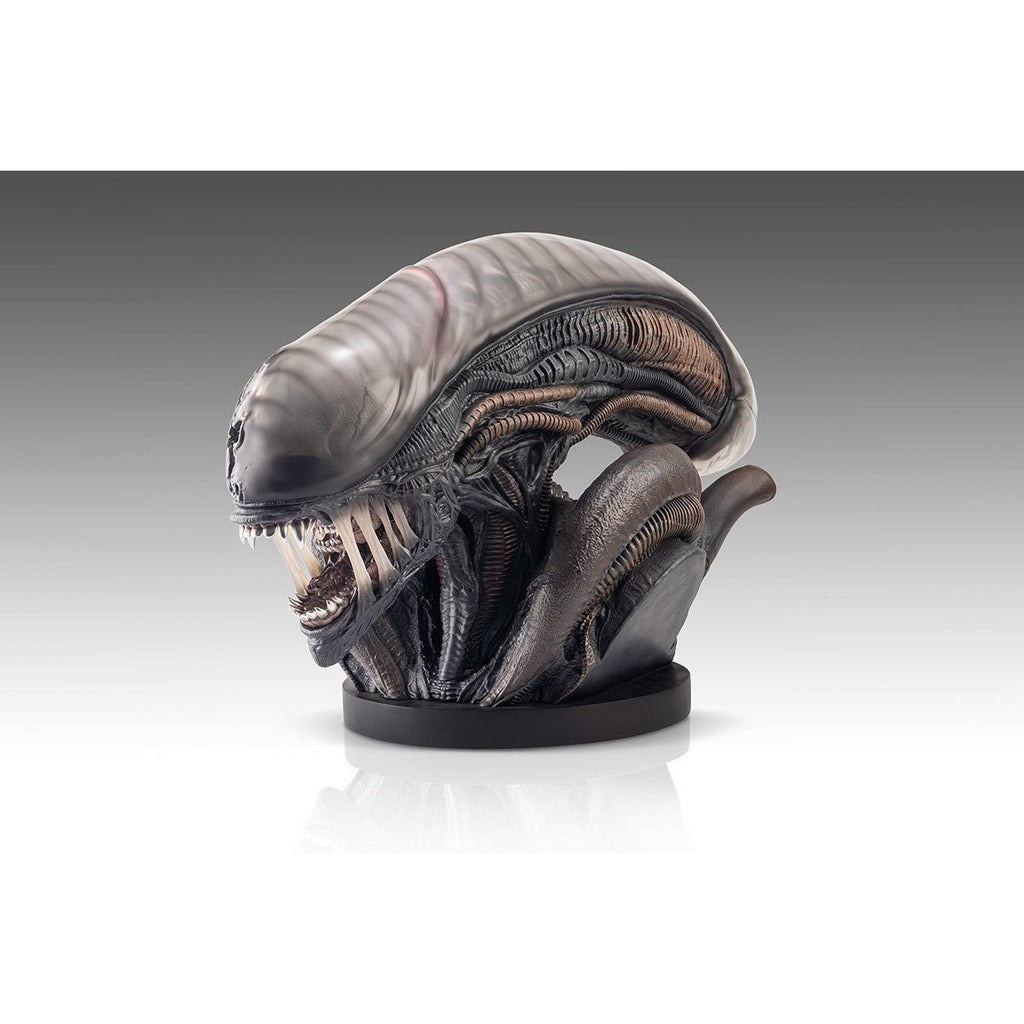 Alien Romulus Xenomorph 1:1 Scale Life-Size Bust