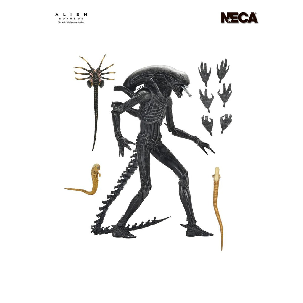 Alien: Romulus Ultimate Xenomorph XX121 7-Inch Scale Action Figure