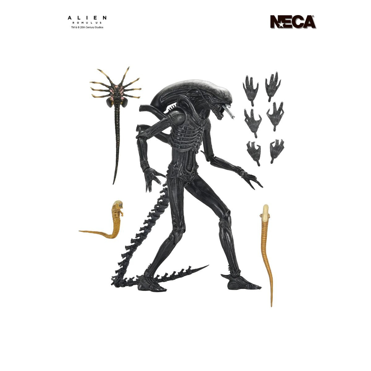 Alien: Romulus Ultimate Xenomorph XX121 7-Inch Scale Action Figure