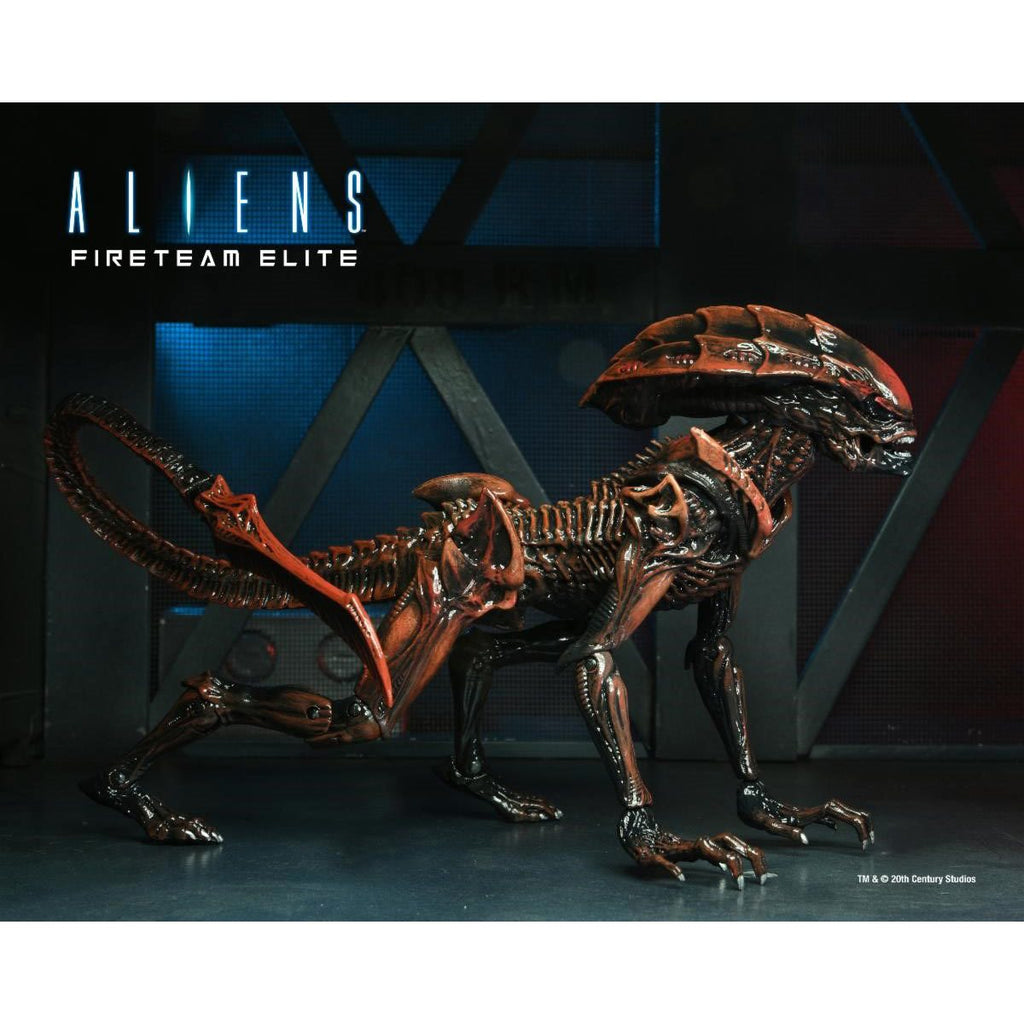 Aliens: Fireteam Elite Runner and Prowler Alien 7-Inch Scale Action Figure Series 1 Set of 2