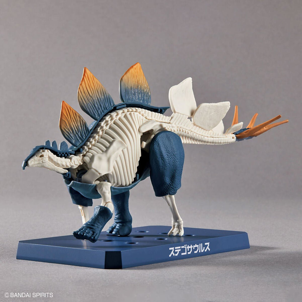 Dinosaur Stegosaurus Plannosaurus Plastic Model Kit