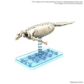 Plannosaurus Hydrodamalis gigas Model Kit