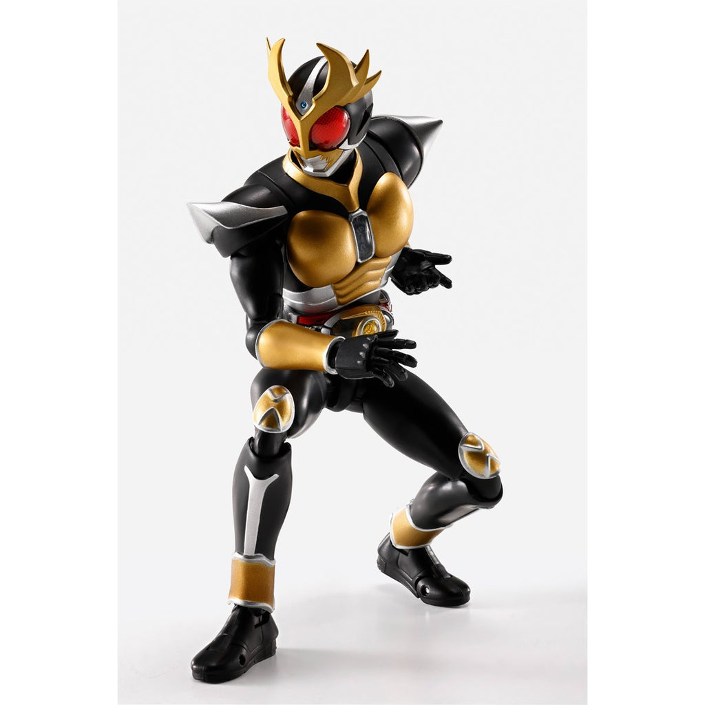 Masked Rider Agito Grand Form 25th Anniversary Version Shinkocchou Seihou S.H.Figuarts Action Figure