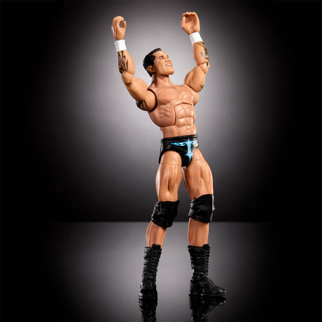 WWE Survivor Series Elite Action Figure Case of 5