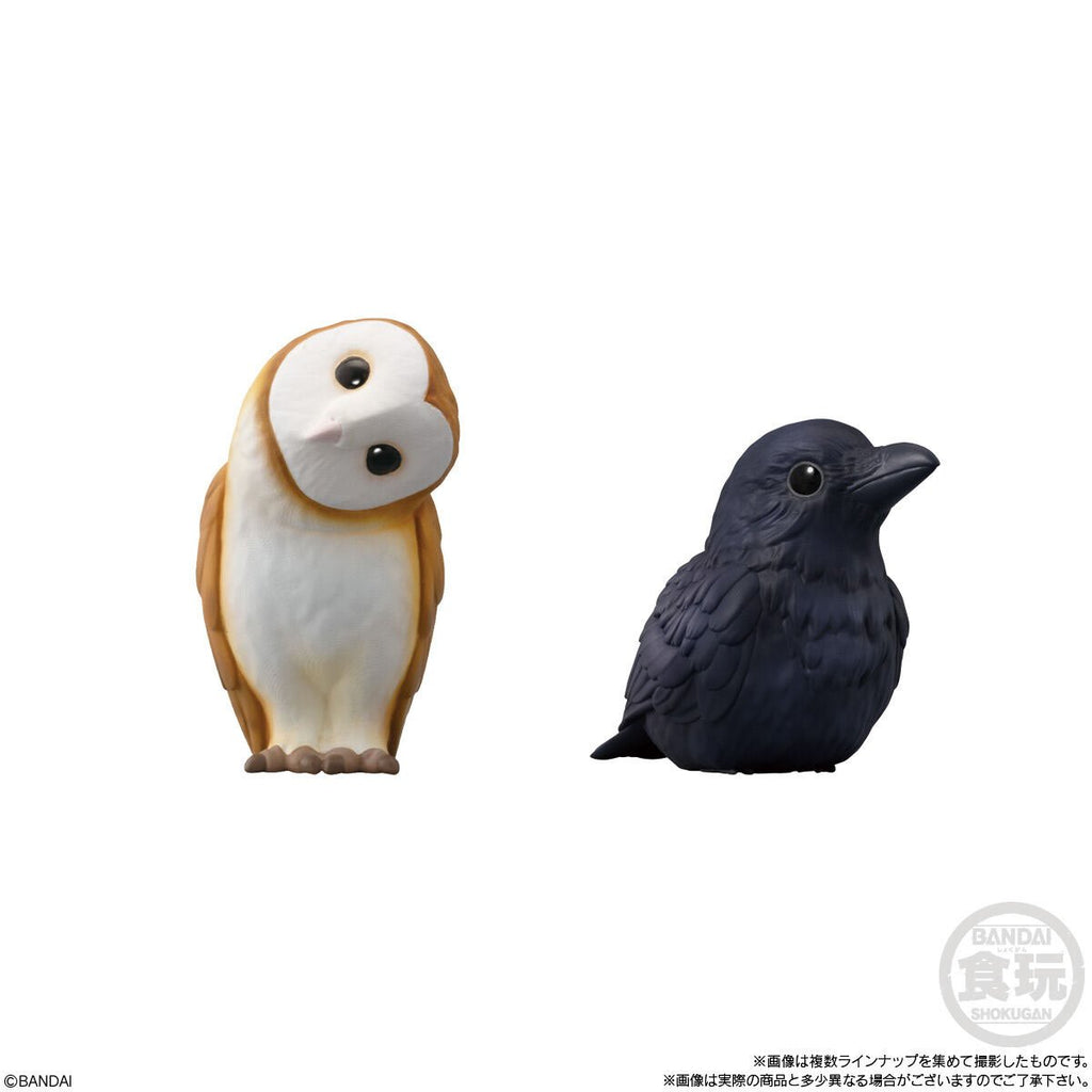Birds Tenori Friends Series 7 Mini-Figure Case of 12