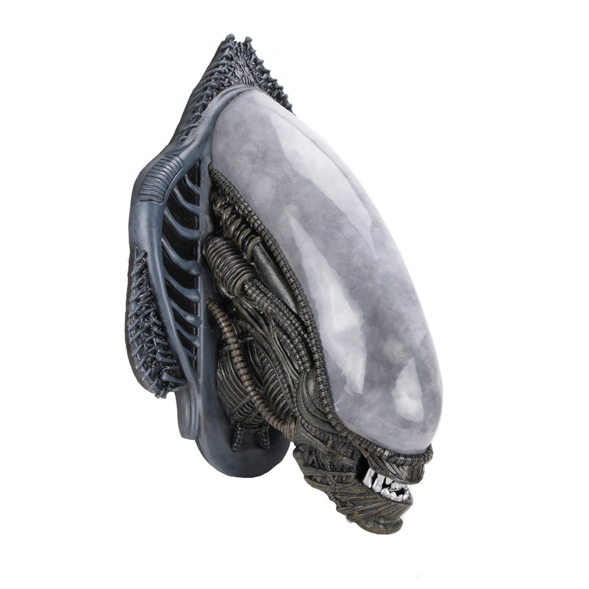 Alien Xenomorph Foam Replica Wall-Mounted Bust