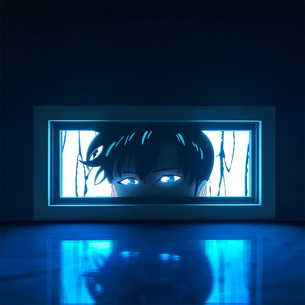 Solo Leveling Sung Jinwoo LED Light Box