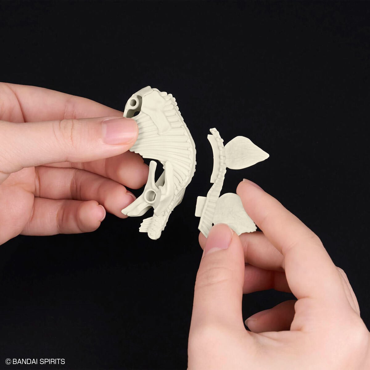 Dinosaur Stegosaurus Plannosaurus Plastic Model Kit