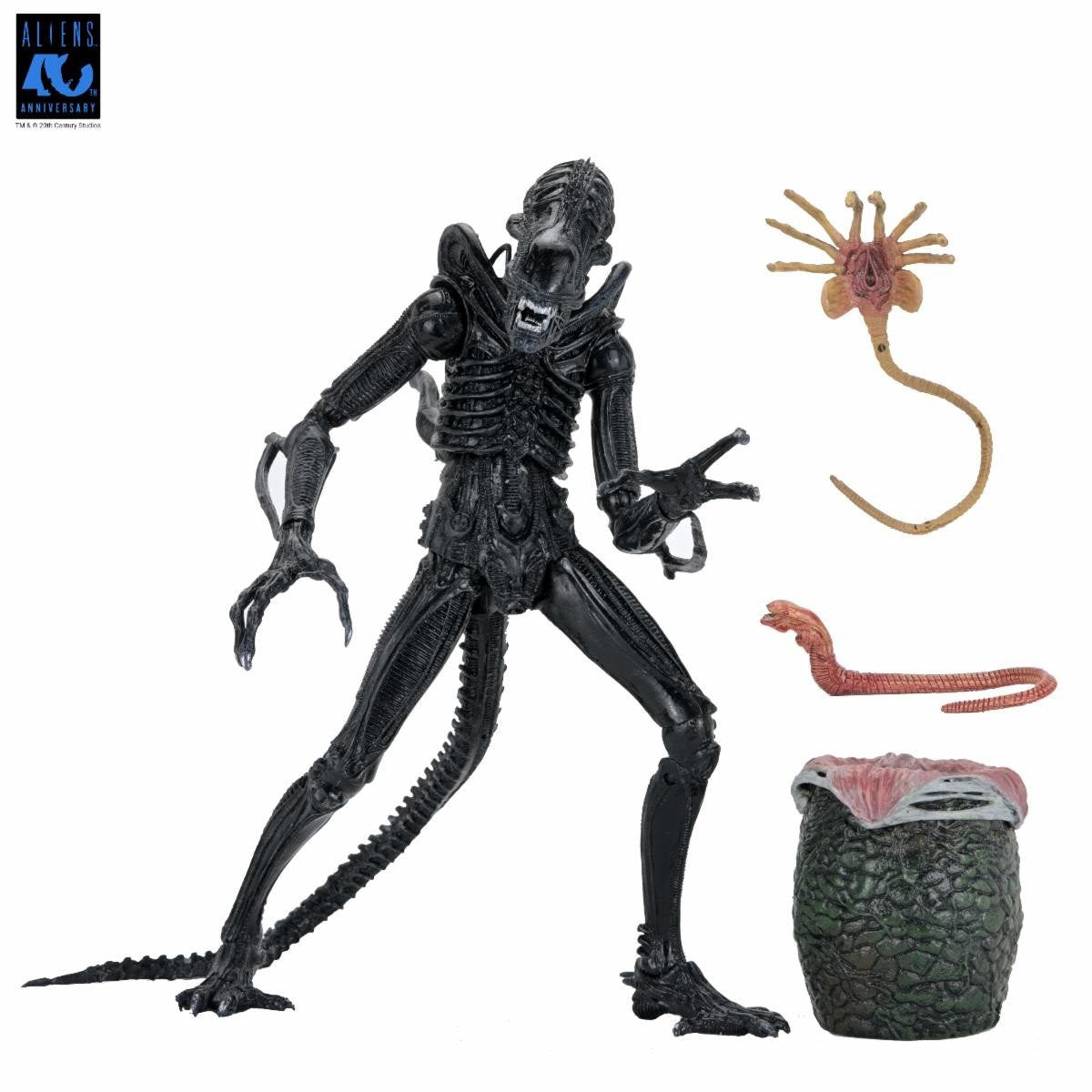 Aliens Ultimate Warrior Xenomorph (black) 40th Anniversary 7-Inch Scale Action Figure