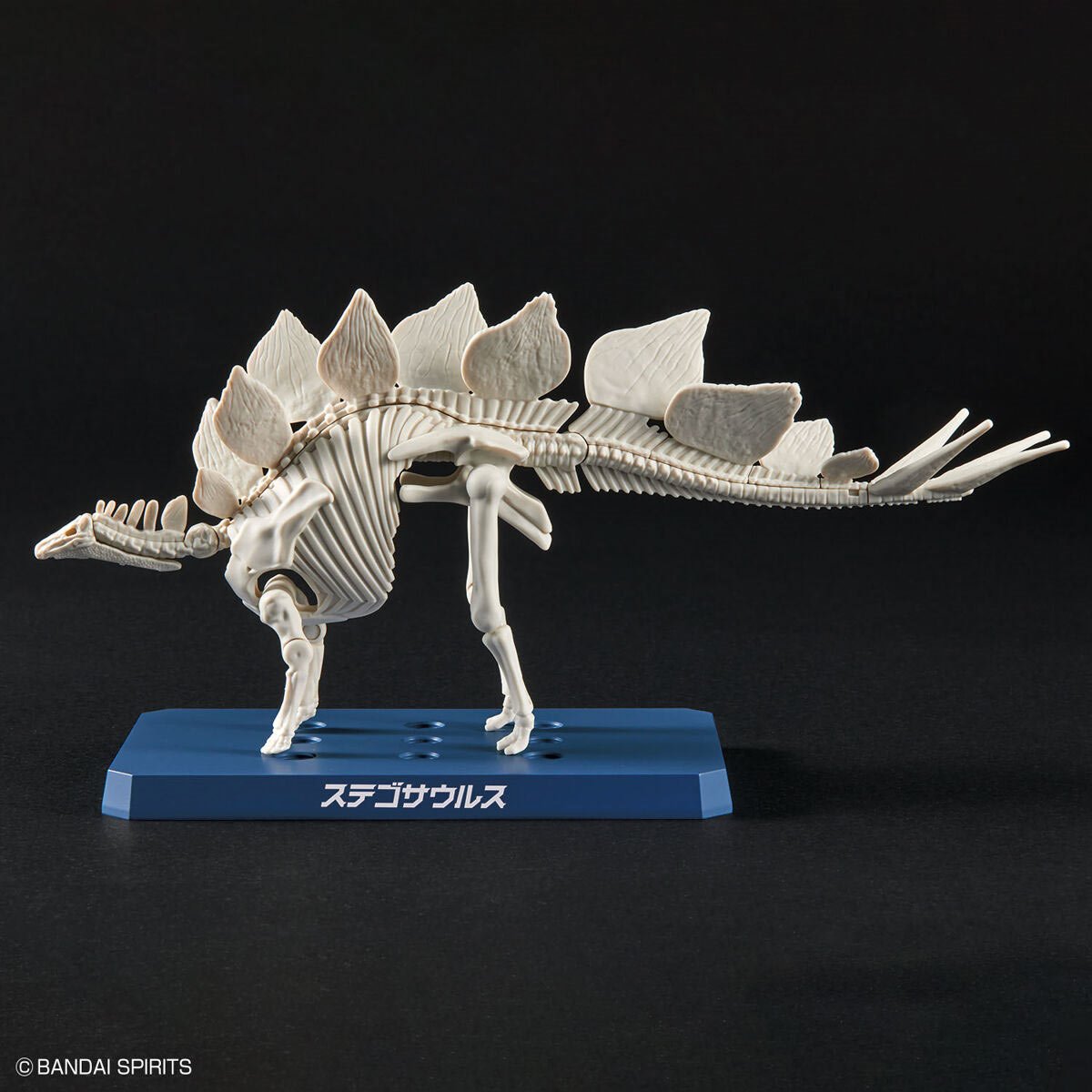 Dinosaur Stegosaurus Plannosaurus Plastic Model Kit