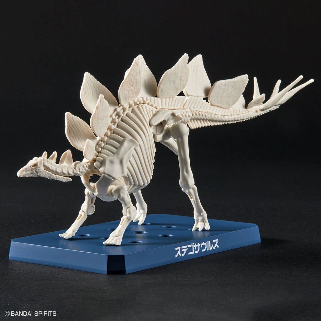Dinosaur Stegosaurus Plannosaurus Plastic Model Kit