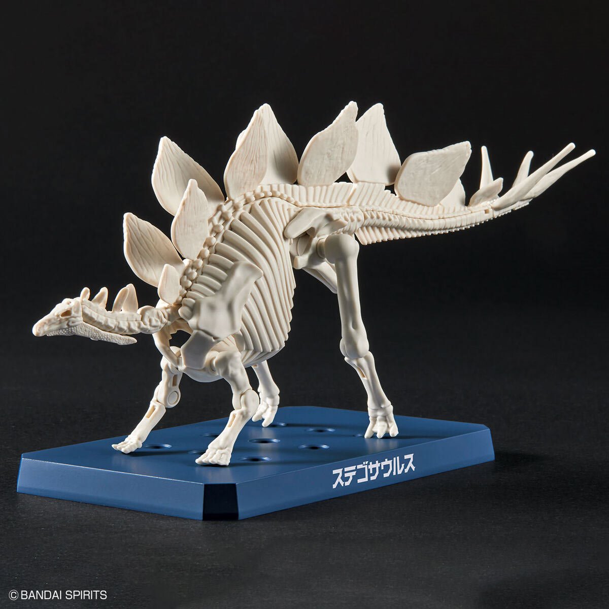 Dinosaur Stegosaurus Plannosaurus Plastic Model Kit