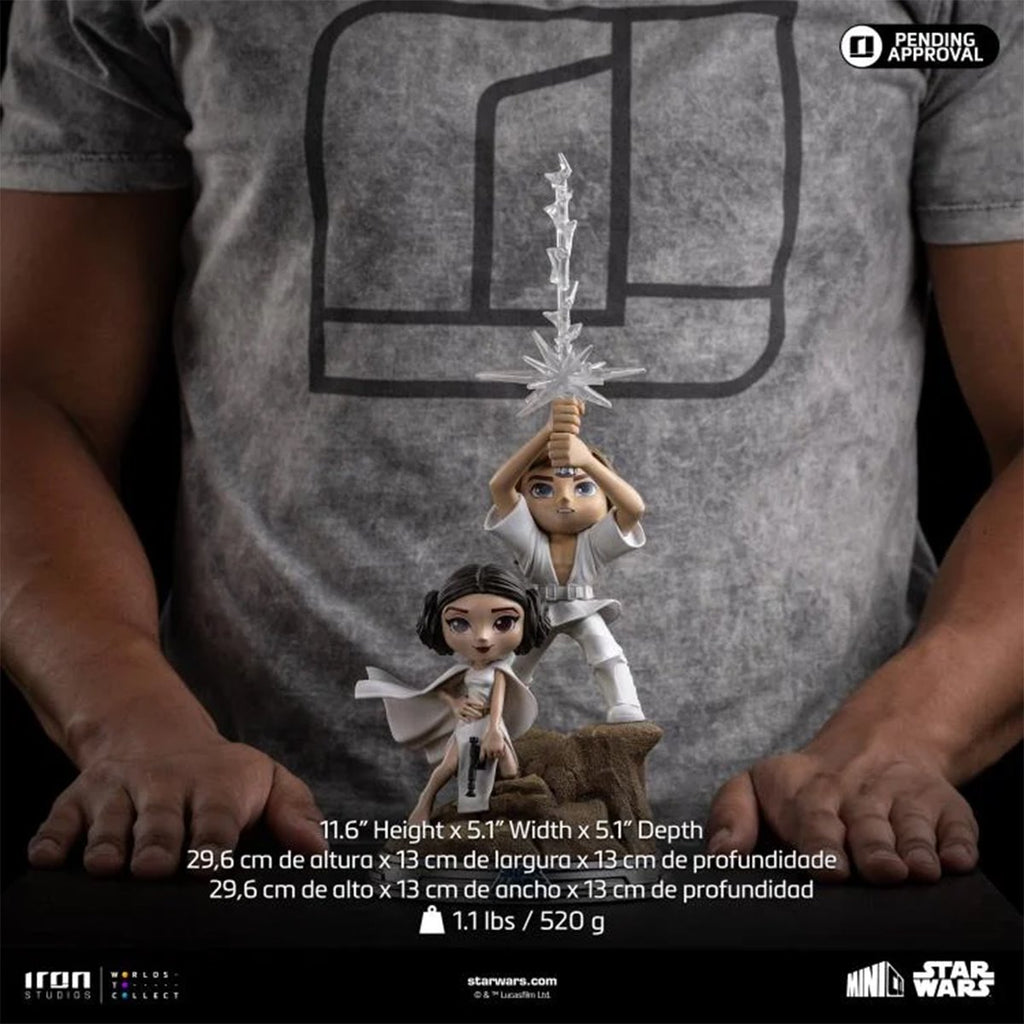 Star Wars: A New Hope Luke and Leia MiniCo Vinyl Figure