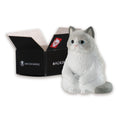 Machiboke Still Waiting Cat in a Box Blind Mini-Figure Display Case of 20