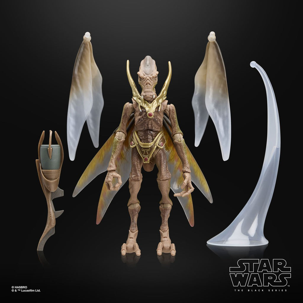 Star Wars The Black Series 2 6-Inch Action Figures Wave 10 Case of 6
