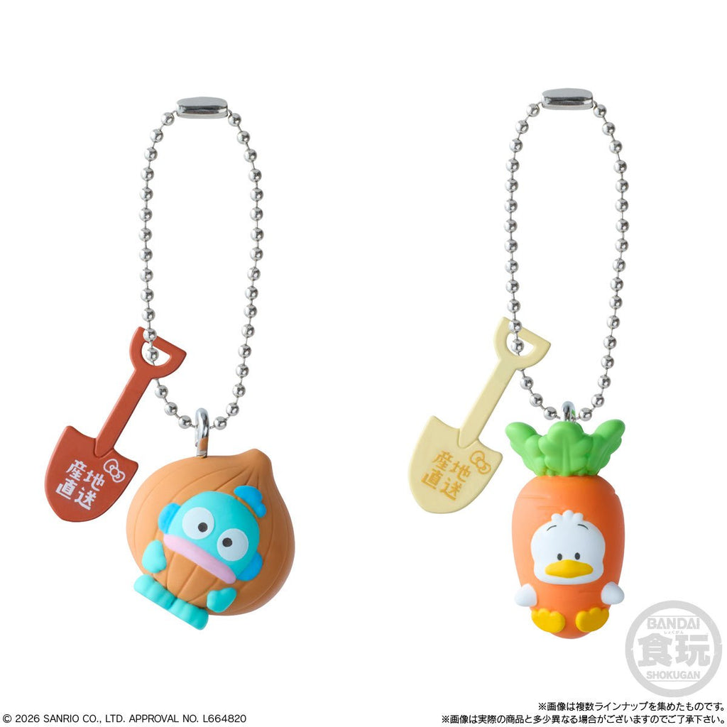 Hello Kitty and Friends Shokugan Box Wave 3 Key Chain Case of 12