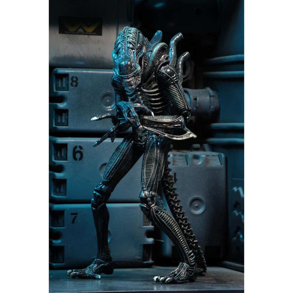 Aliens Ultimate Aliens Warrior (1986) Blue 7-Inch Scale Action Figure