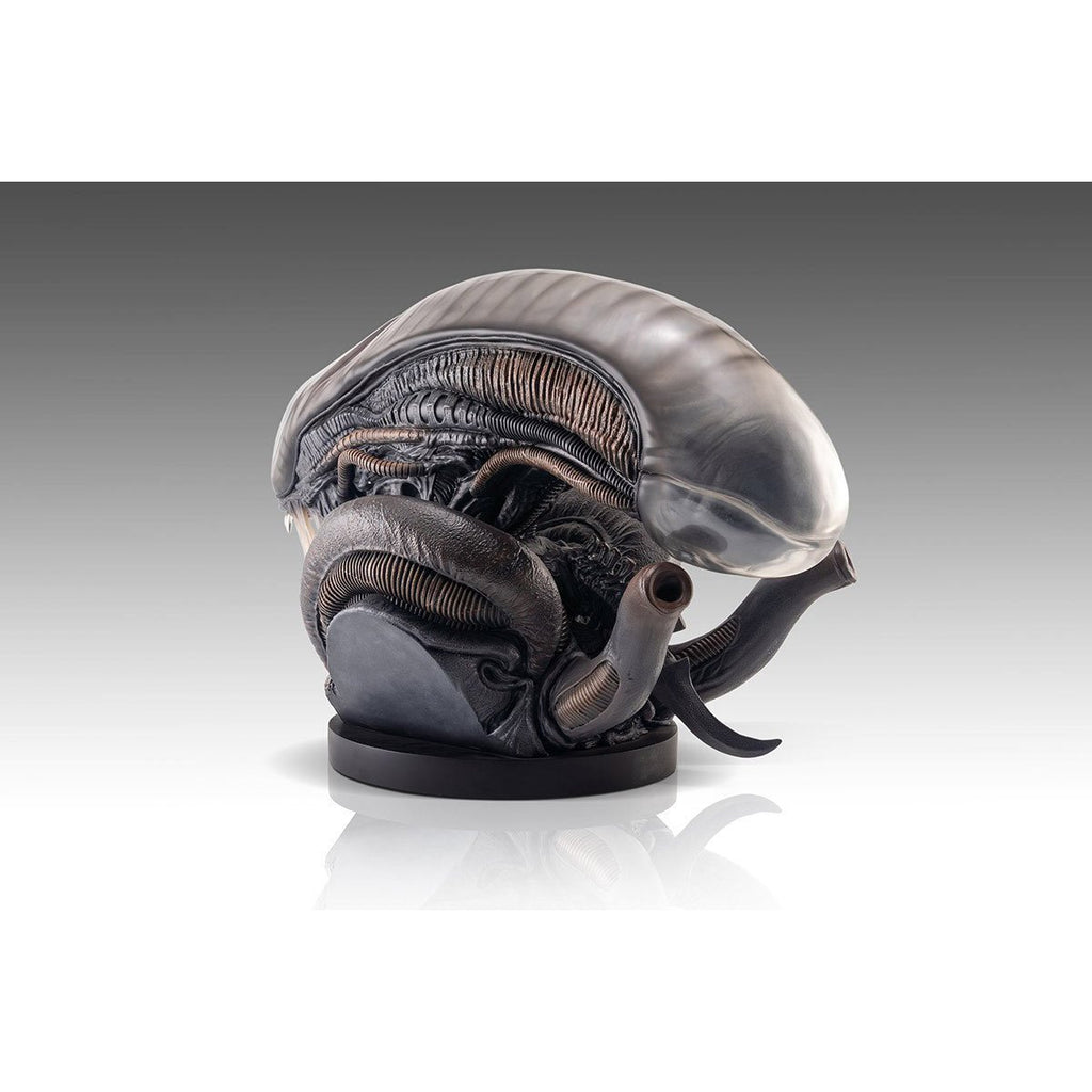 Alien Romulus Xenomorph 1:1 Scale Life-Size Bust