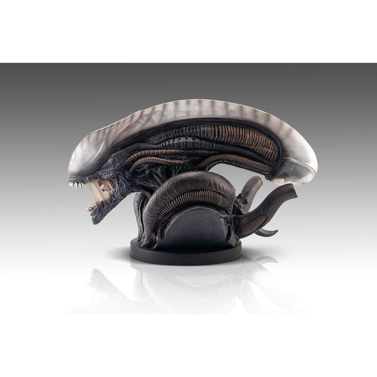 Alien Romulus Xenomorph 1:1 Scale Life-Size Bust