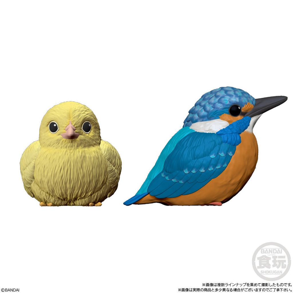 Birds Series 4 Tenori Friends Mini-Figure Case of 12
