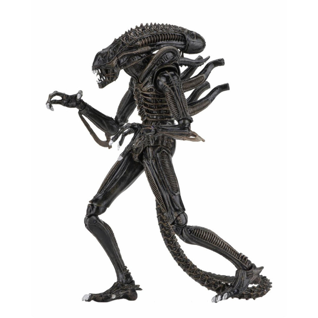 Aliens Ultimate Aliens Warrior (1986) Brown 7-Inch Scale Action Figure