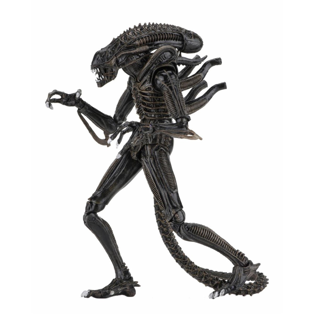 Aliens Ultimate Aliens Warrior (1986) Brown 7-Inch Scale Action Figure