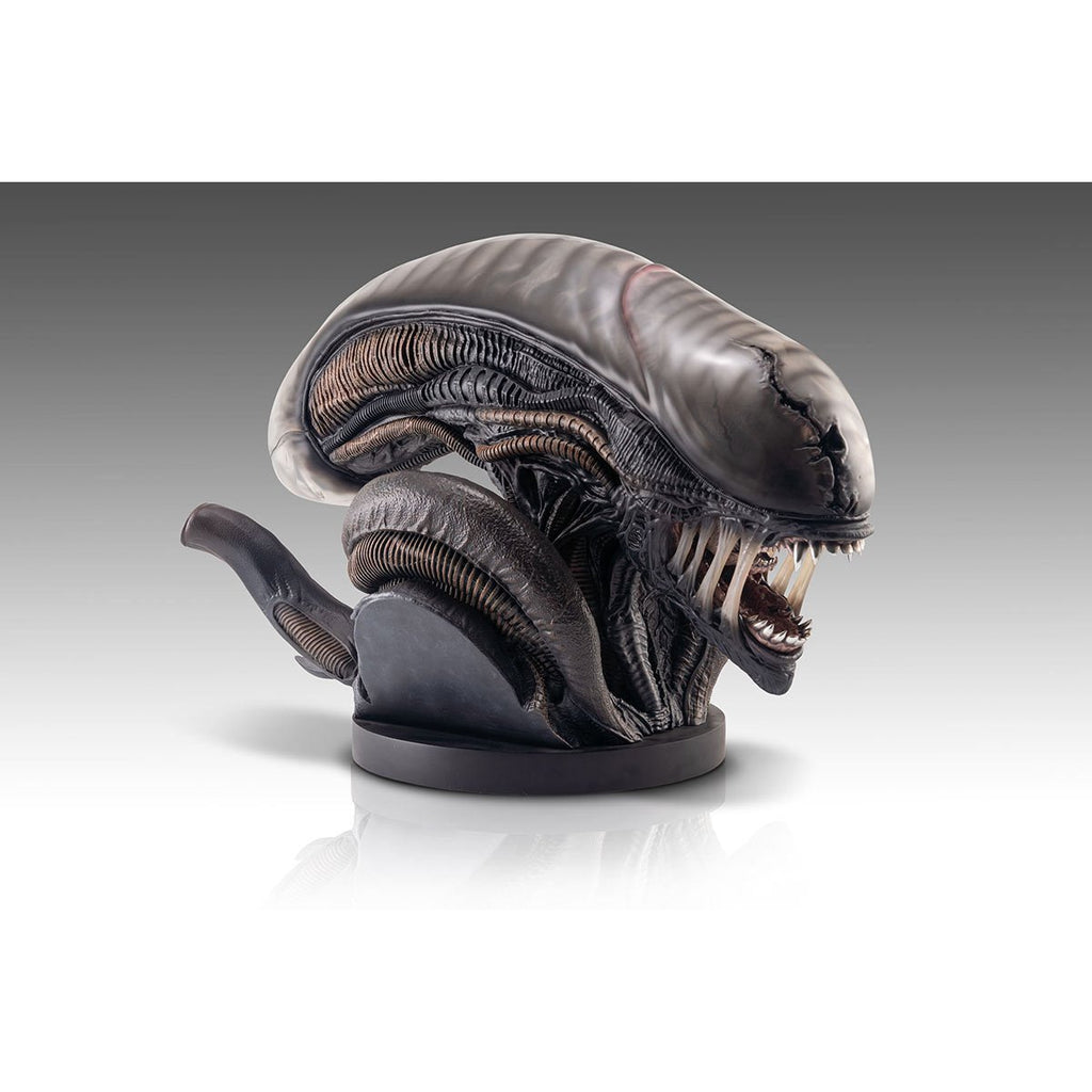Alien Romulus Xenomorph 1:1 Scale Life-Size Bust