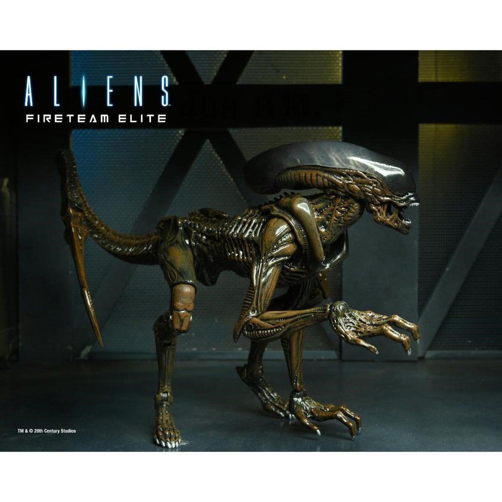 Aliens: Fireteam Elite Runner and Prowler Alien 7-Inch Scale Action Figure Series 1 Set of 2