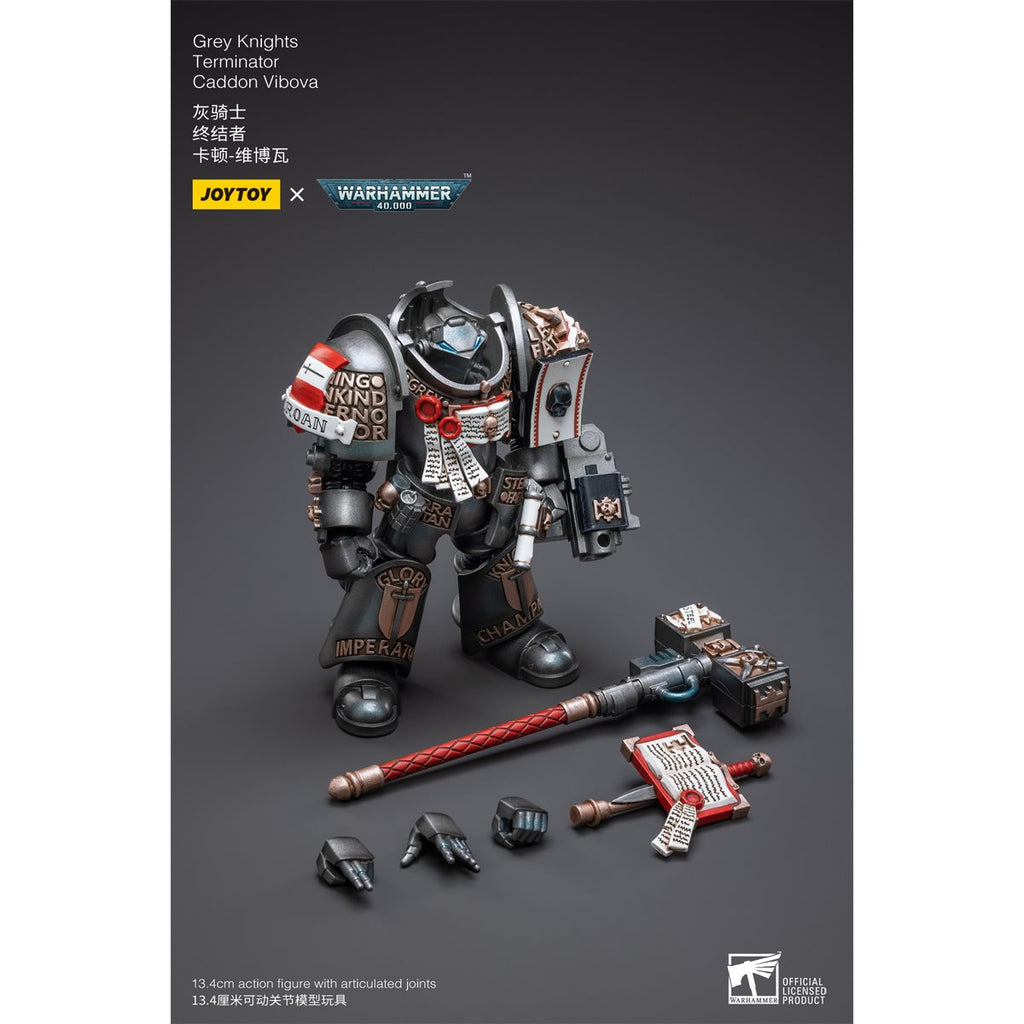 Joy Toy Warhammer 40,000 Grey Knights Terminator Caddon Vibova 1:18 Scale Action Figure