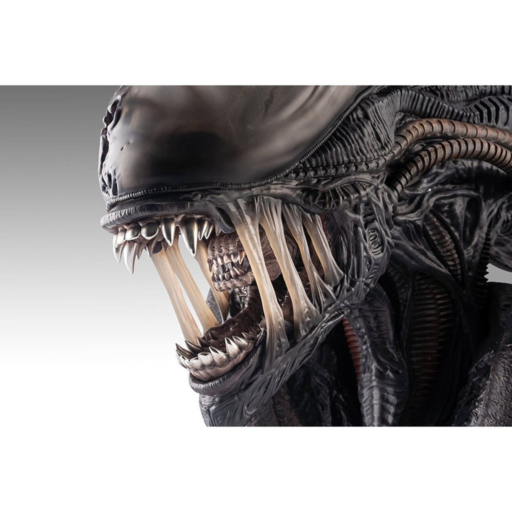Alien Romulus Xenomorph 1:1 Scale Life-Size Bust
