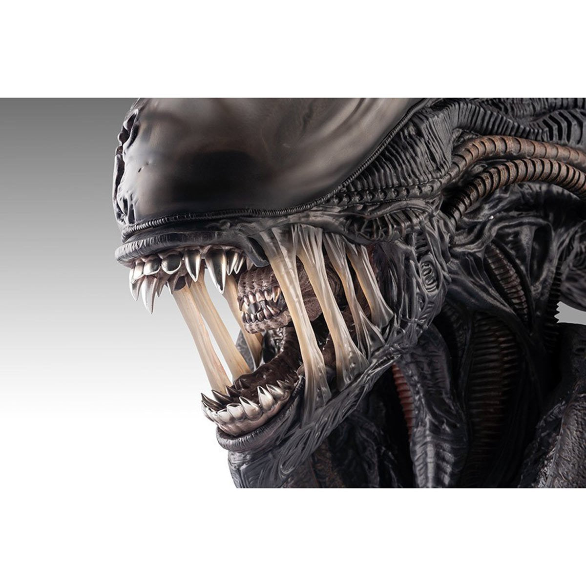 Alien Romulus Xenomorph 1:1 Scale Life-Size Bust