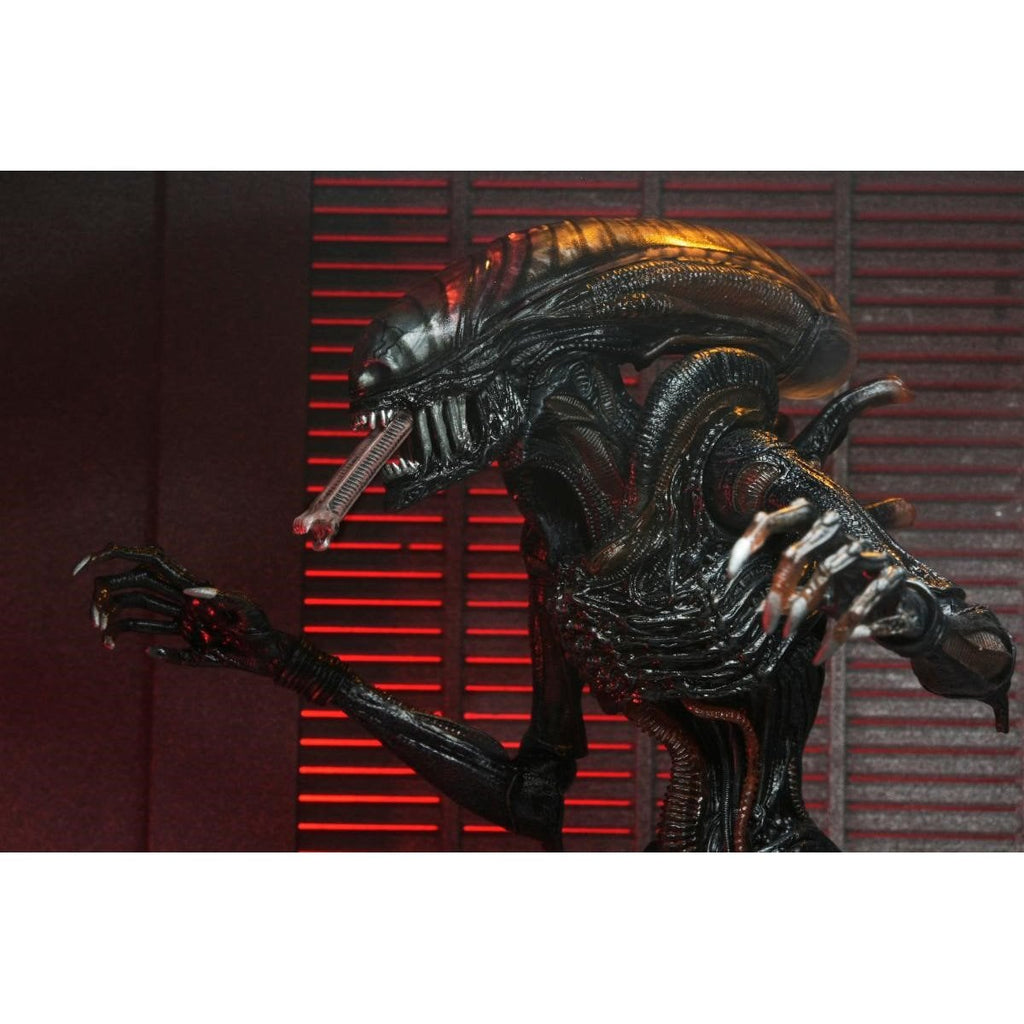 Alien: Romulus Ultimate Scorched Xenomorph 7-Inch Scale Action Figure