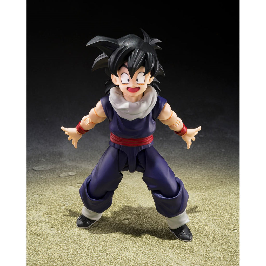 Dragon Ball Z Son Gohan Z-Fighters Limited Edition Z-Fighters Group Base Ver. A S.H.Figuarts Action Figure