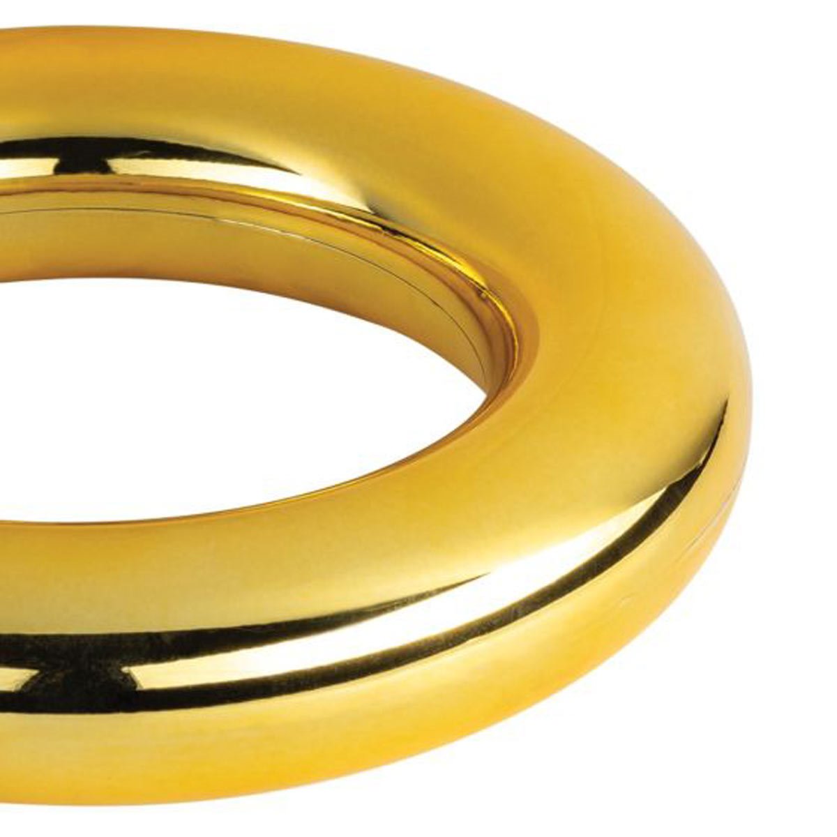 Sonic Ring Accessory