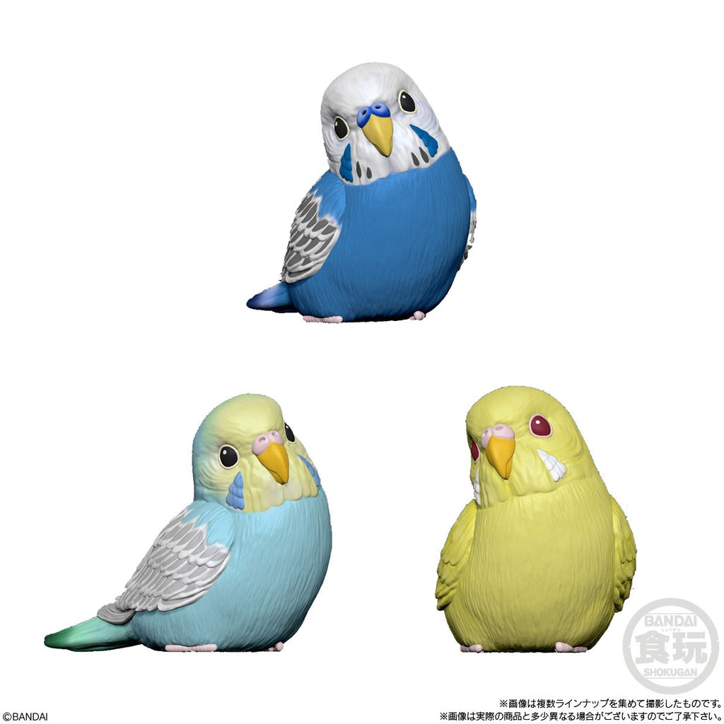 Birds Series 4 Tenori Friends Mini-Figure Case of 12