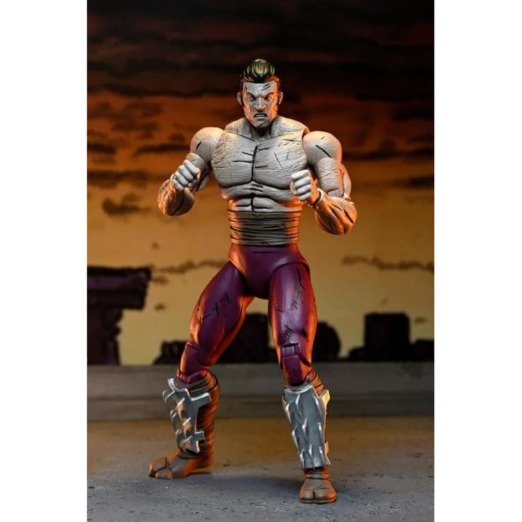 Teenage Mutant Ninja Turtles Mirage Comics Worms of Madness Shredder Action Figure 2-Pack