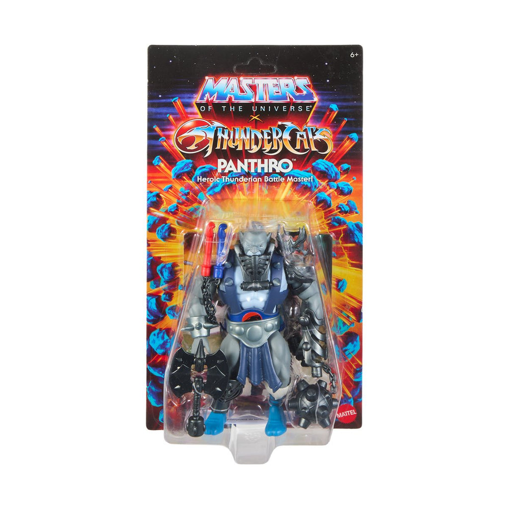 Masters of the Universe x Thundercats Wave 3 Action Figure Case of 4