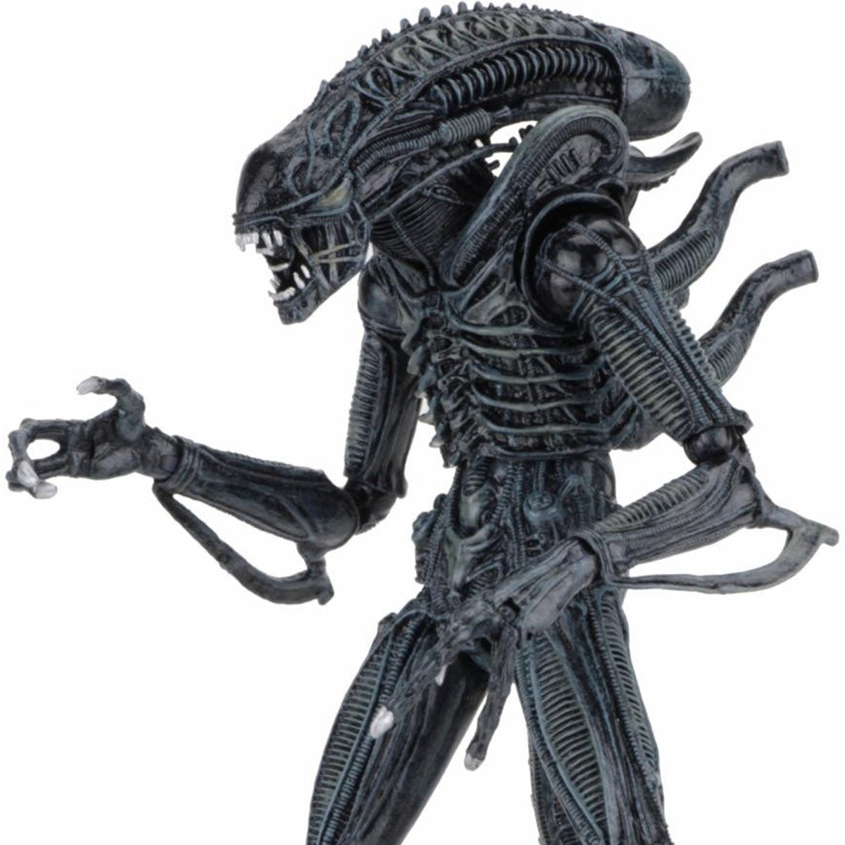 Aliens Ultimate Aliens Warrior (1986) Blue 7-Inch Scale Action Figure