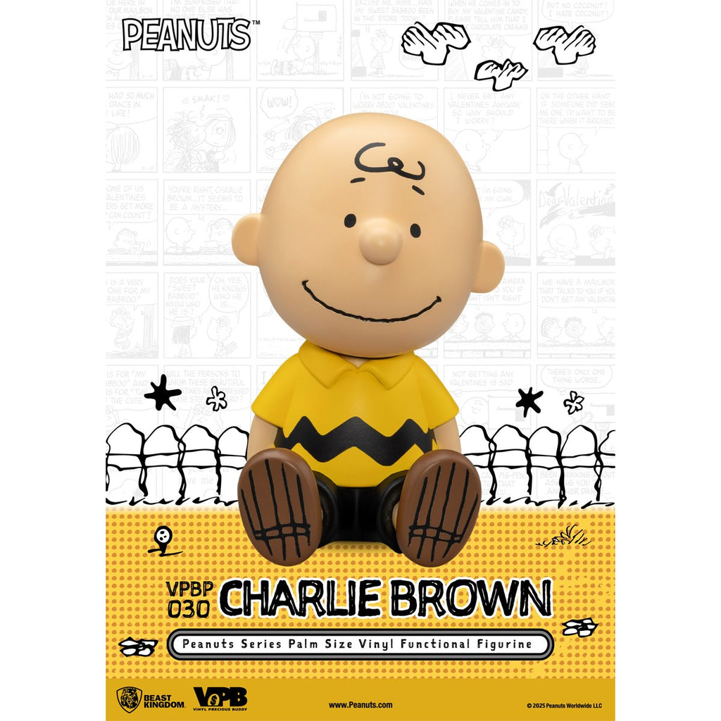 Peanuts Charlie Brown VPBP-030 Peanuts Series Palm Size Vinyl Functional Piggy Bank