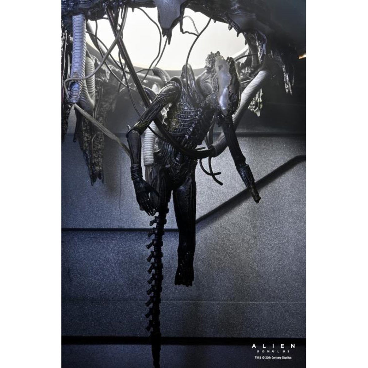 Alien: Romulus Suspended Lab Xenomorph XX121 7-Inch Scale Deluxe Action Figure