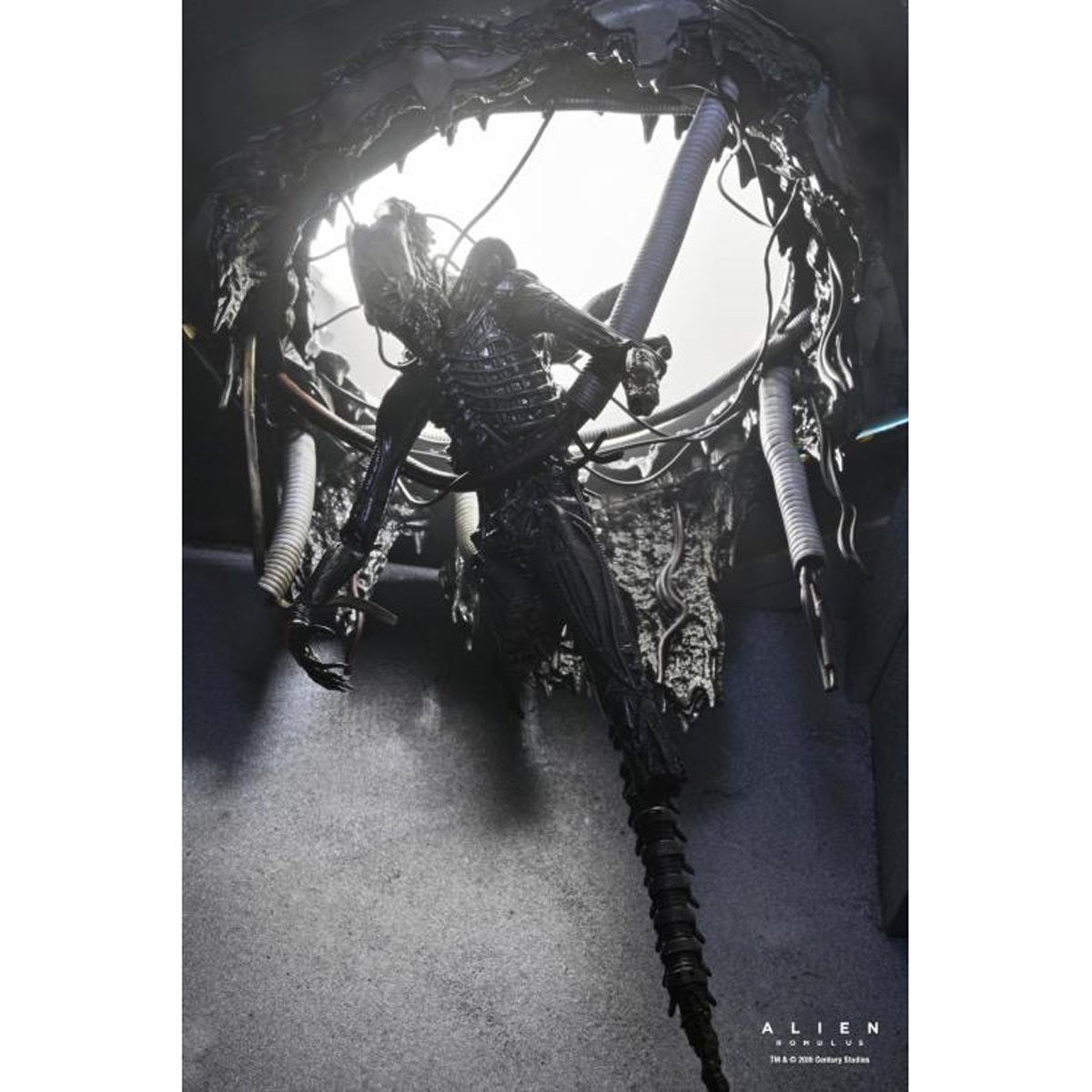 Alien: Romulus Suspended Lab Xenomorph XX121 7-Inch Scale Deluxe Action Figure
