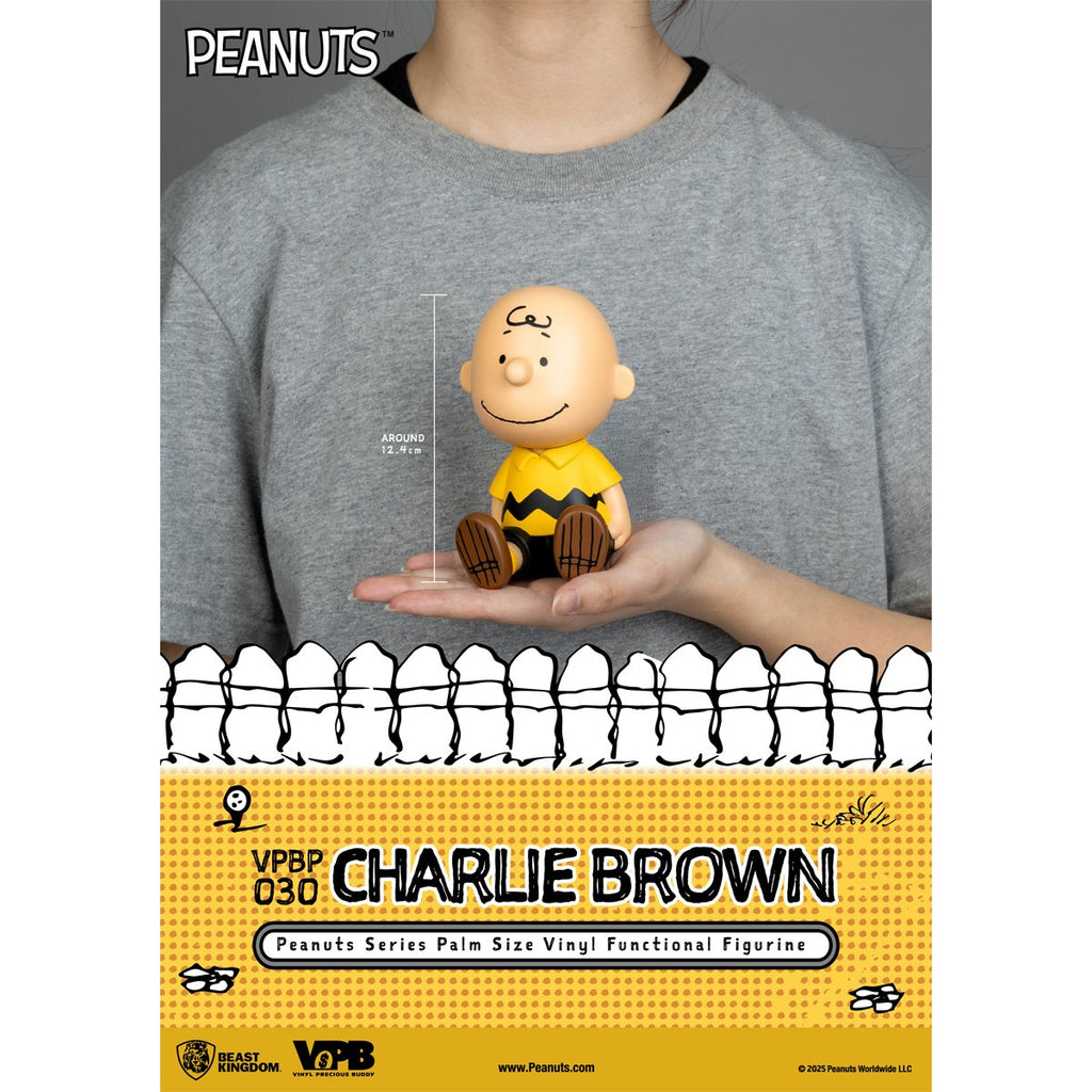 Peanuts Charlie Brown VPBP-030 Peanuts Series Palm Size Vinyl Functional Piggy Bank